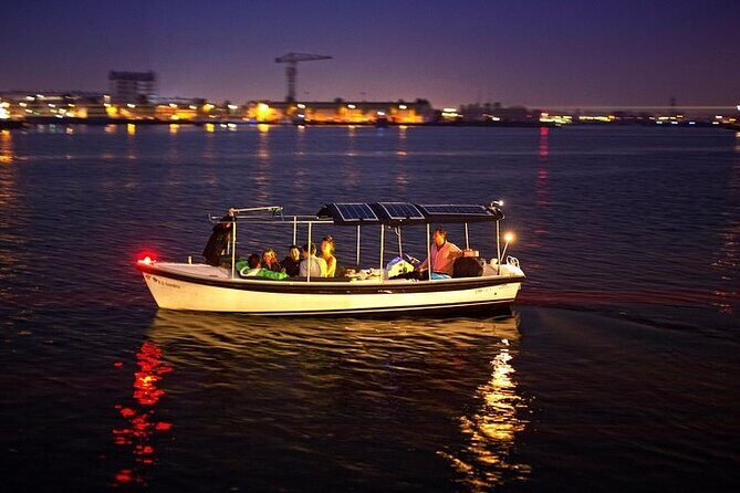 Amsterdam 2-hour Private Canal Cruise with Live Guide and Drinks - The UNESCO canal belt: where the city’s Golden Age shows up