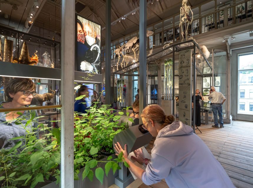 Amsterdam: ARTIS-Groote Museum Entry Ticket - Who will love ARTIS-Groote Museum the most