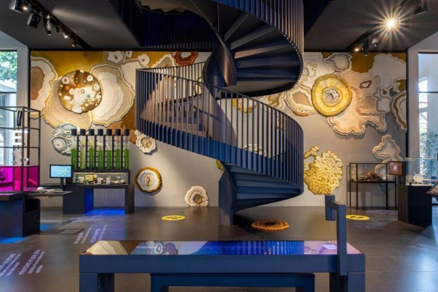 Amsterdam: ARTIS-Micropia Microbe Museum Entry Ticket - The Laboratorium Area and the Daily Lab Talks