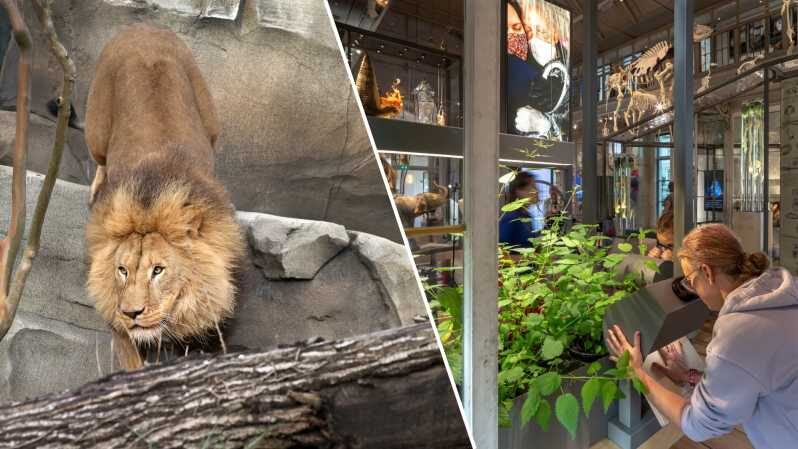 Amsterdam: ARTIS Royal Zoo and ARTIS Groote Museum Ticket - ARTIS Groote Museum first: interactive nature on the Artisplein