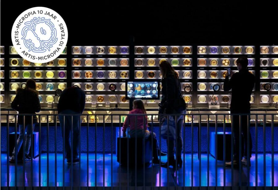 Amsterdam: Artis Royal Zoo & ARTIS-Micropia Combo Ticket - Price and value: what you’re really paying for