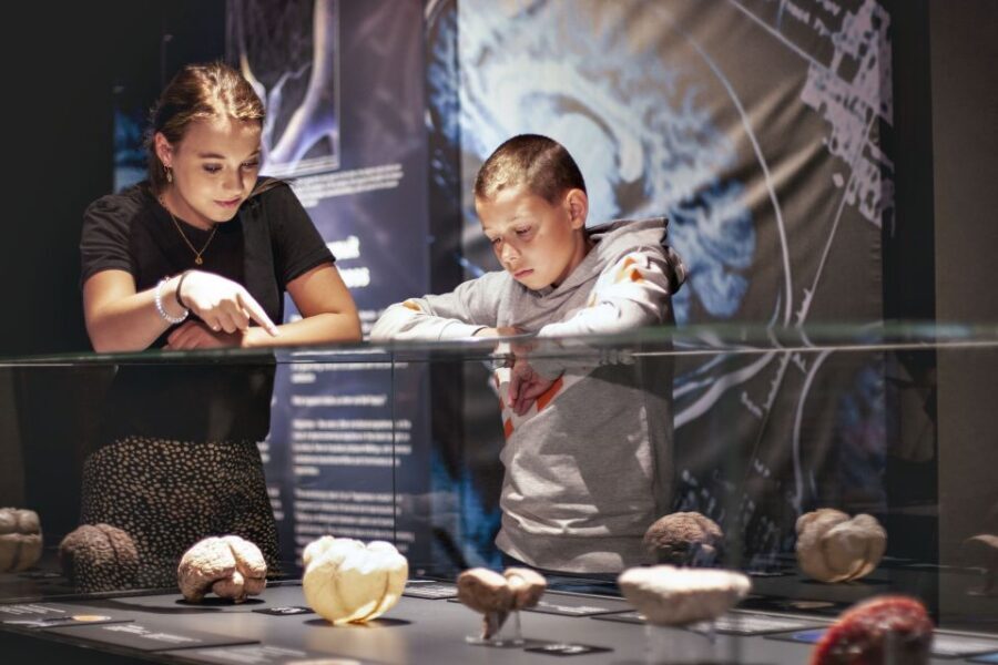 Amsterdam: Body Worlds Exhibition and Canal Cruise - Should you book this Amsterdam Body Worlds + canal ticket?