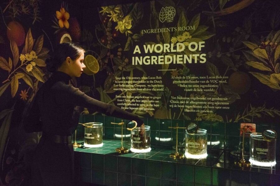Amsterdam: Bols Cocktail Experience and Cocktail Workshop - Workshop With a Professional Bartender: Make 2–3 Cocktails
