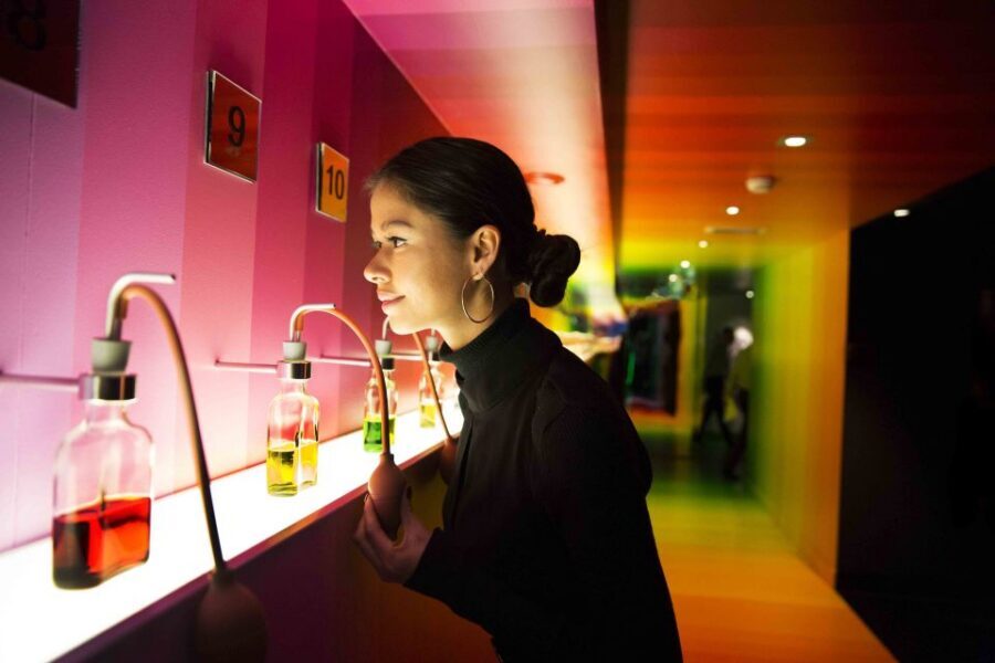 Amsterdam: Bols Cocktail Experience and Cocktail Workshop - The Mixology Skills That Translate to Home (ice, flavor pairing, aromas)