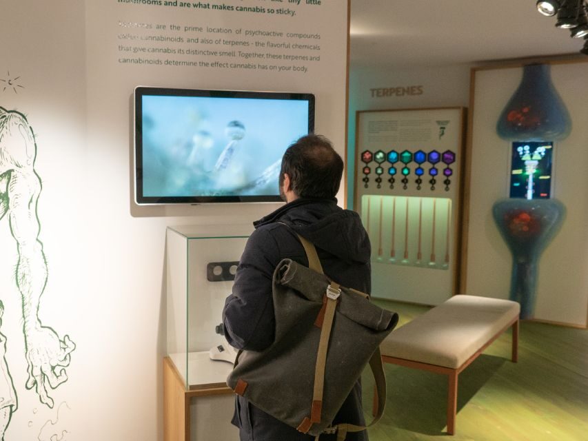 Amsterdam: Cannabis Museum Entry Ticket - Key takeaways before you go