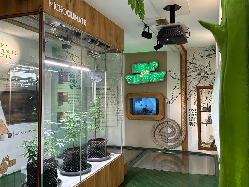 Amsterdam: Cannabis Museum Entry Ticket - Price and what $14 really buys you