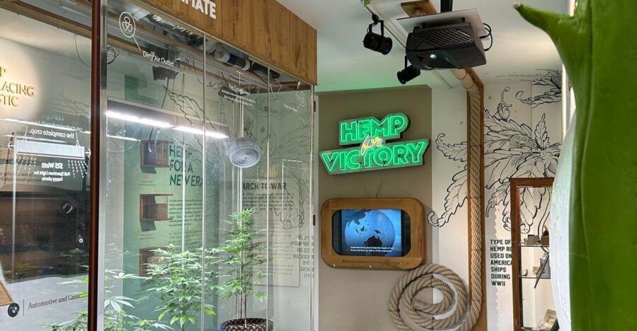 Amsterdam: Cannabis Museum Entry Ticket - The 3-floor layout: how the pace keeps you interested