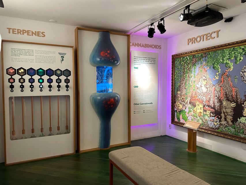 Amsterdam: Cannabis Museum Entry Ticket - The top-floor equipment moment: gravity bong and the volcano setup