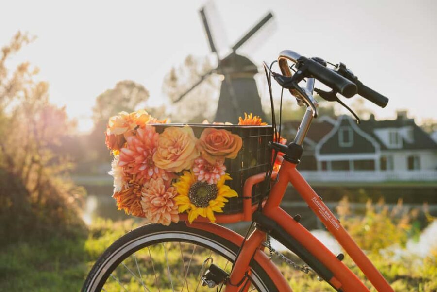 Amsterdam: Cheese, Windmill & Countryside Bike Tour - Windmill and Ferry Ride: Two Dutch Icons in One Stretch