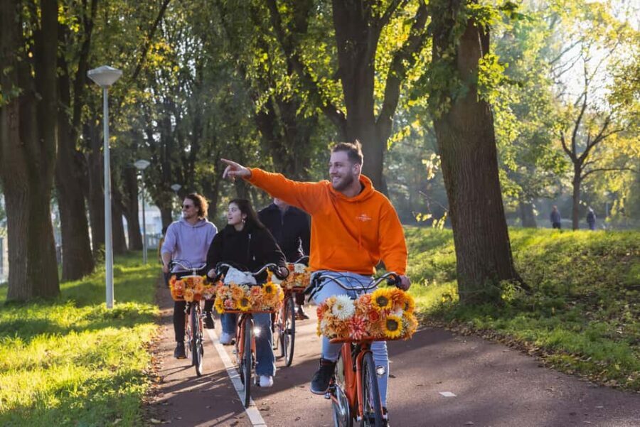 Amsterdam: Cheese, Windmill & Countryside Bike Tour - Bikes, Pace, and Practical Tips That Keep It Enjoyable