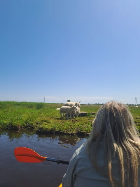 Amsterdam: Countryside Bike and Kayak Guided Tour - Key highlights at a glance