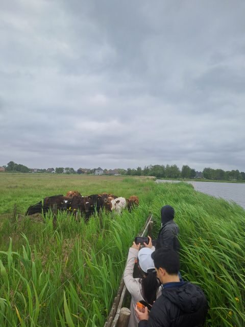 Amsterdam: Countryside Bike and Kayak Guided Tour - Why this bike-and-kayak day works so well outside Amsterdam