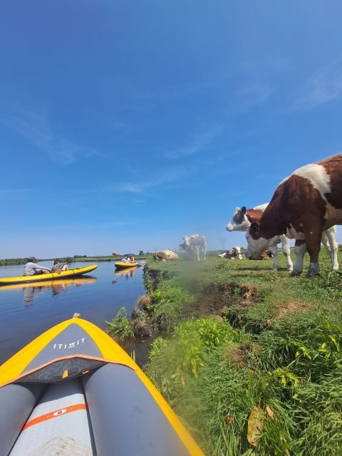 Amsterdam: Countryside Bike and Kayak Guided Tour - Broek in Waterland kayaking: calm paddling with wildlife nearby