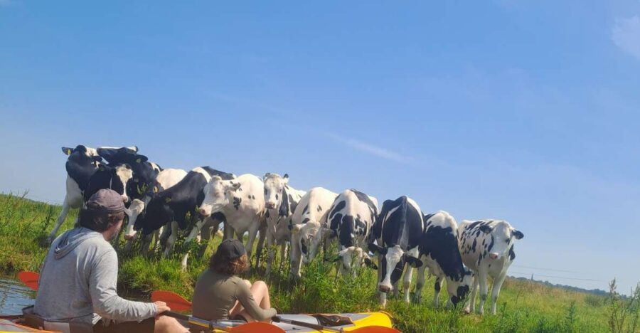 Amsterdam: Countryside Bike and Kayak Guided Tour - Starting at A’DAM Lookout and catching the free ferry