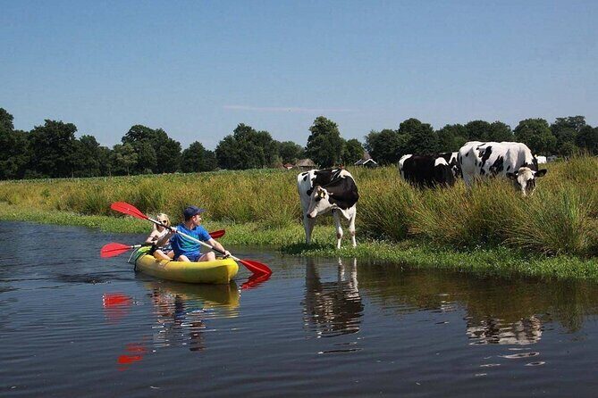 Amsterdam Countryside Bike and Kayak Tour - Key Highlights You’ll Actually Care About
