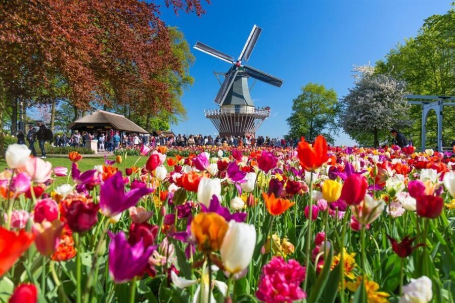 Amsterdam: Day Tour Keukenhof and Zaanse Schans Windmills - Keukenhof: How to Use Your Flexible 4 Hours