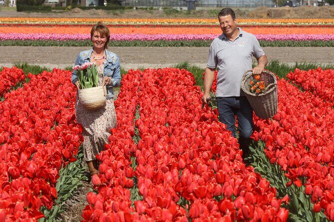 Amsterdam: Day trip to Tulip Farm, Keukenhof + Windmill Cruise - Finding This is Holland: the easiest way to start in Amsterdam Noord