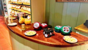 Amsterdam: Giethoorn & Zaanse Schans Small Group Day Trip - Meeting Point Near Albert Heijn and Sea Palace: Easy Start