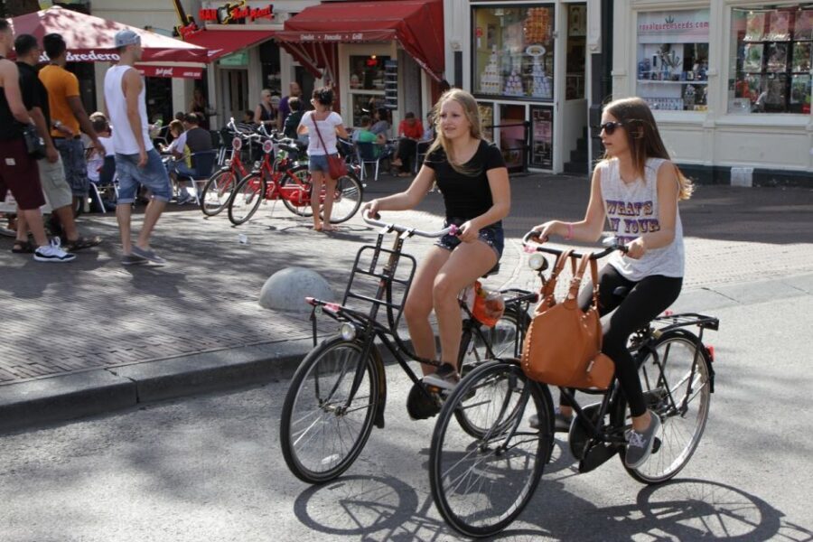 Amsterdam: Guided Sightseeing Bike Tour - The ride basics: duration, bike comfort, and group setup