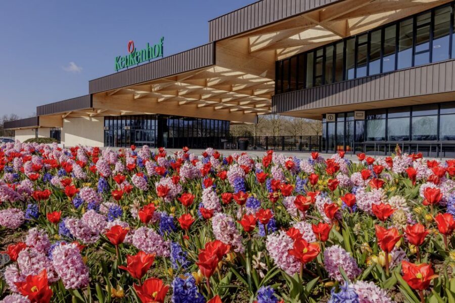 Amsterdam: Half-Day Flower Fields and Keukenhof Bicycle Tour - Why a Keukenhof Flower-Fields Bike Tour Beats a Bus Day