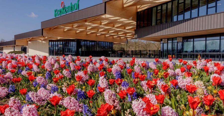 Amsterdam: Half-Day Flower Fields and Keukenhof Bicycle Tour - Amsterdam Central to Hillegom: The Smooth Train Start
