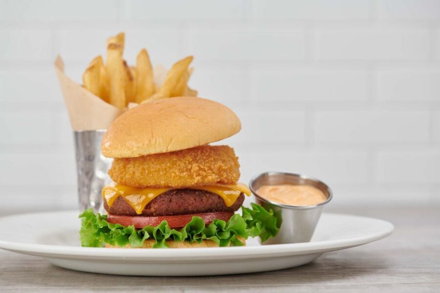 Amsterdam: Hard Rock Cafe Experience - Should you book? My practical take