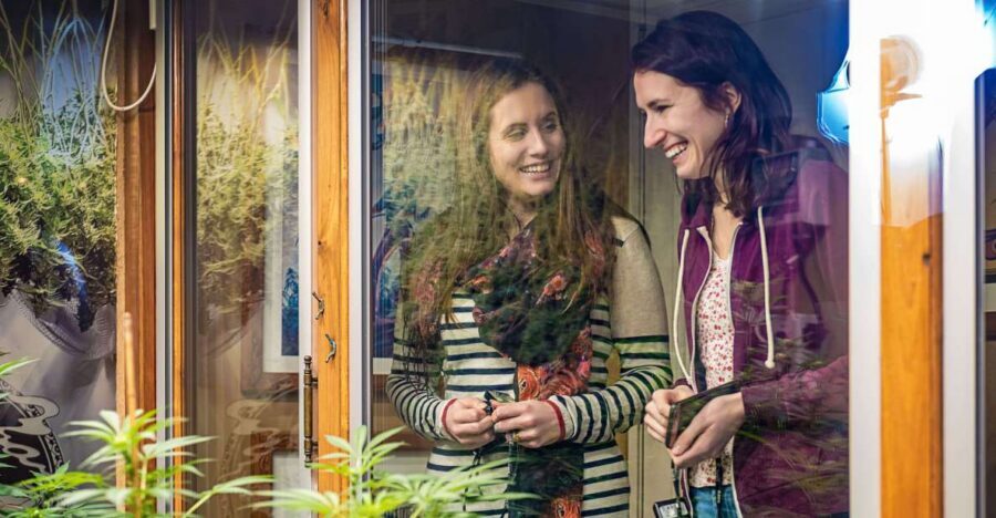 Amsterdam: Hash, Marihuana, and Hemp Museum Entry Ticket - The free audio guide: the smartest way to tour this museum