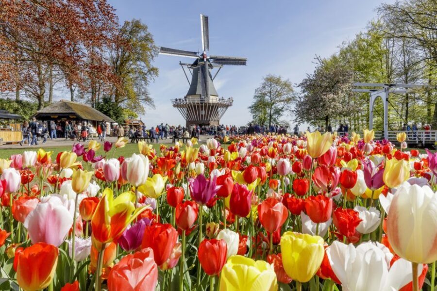 Amsterdam: Keukenhof and Zaanse Schans Live Guided Day Tour - Zaanse Schans: Windmills, Village Walks, and How Much Time You Get