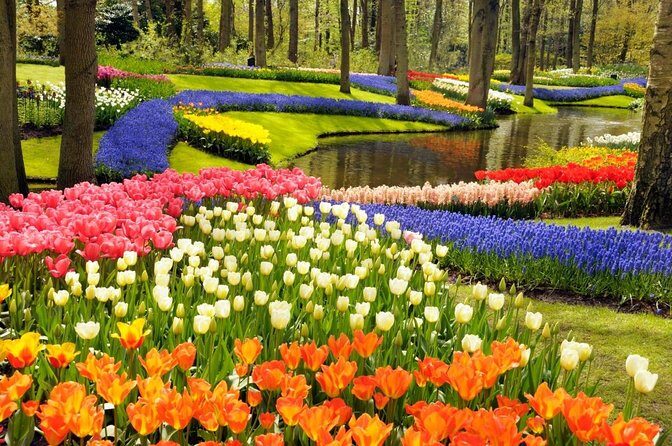 Amsterdam: Keukenhof Entry & Shuttle Bus with Flexible Return - Getting to This is Holland: the easy start with the free ferry