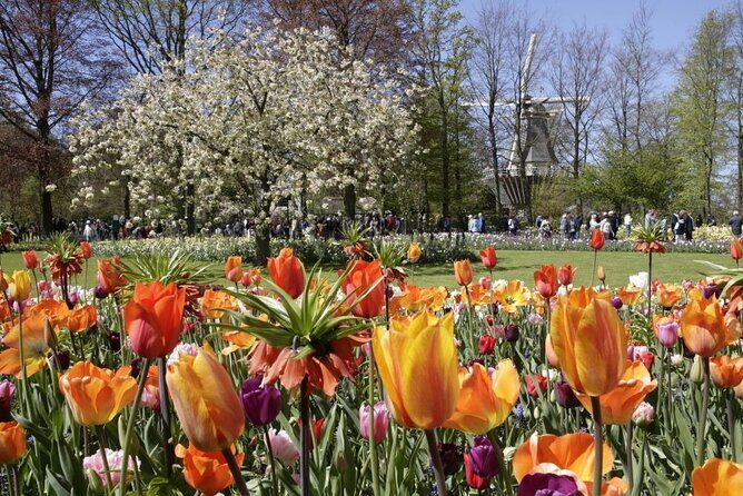 Amsterdam: Keukenhof Entry & Shuttle Bus with Flexible Return - Luxury bus ride to Keukenhof: how the timing actually feels