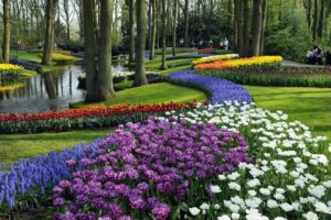Amsterdam: Keukenhof Entry & Shuttle Bus with Flexible Return - Keukenhof admission and self-paced exploring: what you should plan for