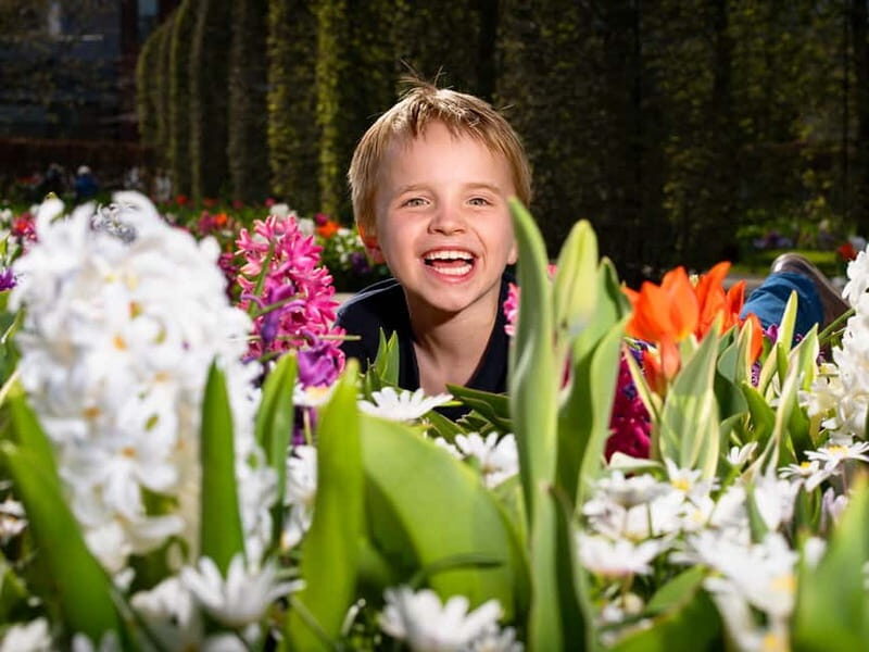 Amsterdam: Keukenhof Ticket and Roundtrip Shuttle Transfer - Who This Shuttle Trip Is Best For