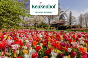 Amsterdam: Keukenhof Ticket and Roundtrip Shuttle Transfer - Ticket Pickup and Entry: The Part That Sets the Tone