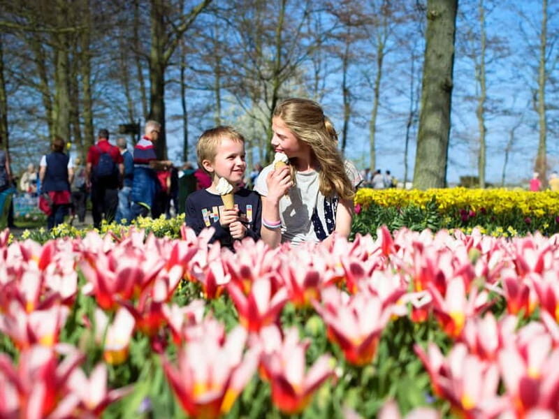 Amsterdam: Keukenhof Ticket and Roundtrip Shuttle Transfer - The Coach Ride to Keukenhof: Comfort and a Guaranteed Seat