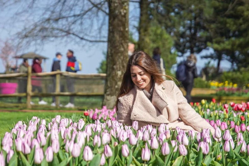 Amsterdam: Keukenhof Ticket and Roundtrip Shuttle Transfer - When You’re Visiting Late: How Season Changes the Experience
