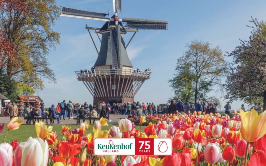 Amsterdam: Keukenhof Ticket and Roundtrip Shuttle Transfer - Price and Value: The $40 Question