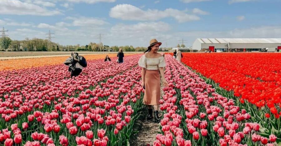 Amsterdam: Keukenhof, Tulip Farm Full-Day Tour with Cruise - Who should book (and who might not love it)