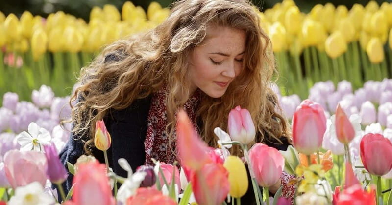 Amsterdam: Keukenhof, Tulip Farm Full-Day Tour with Cruise - Tulip farm with Daan and Anja: the morning you’ll remember