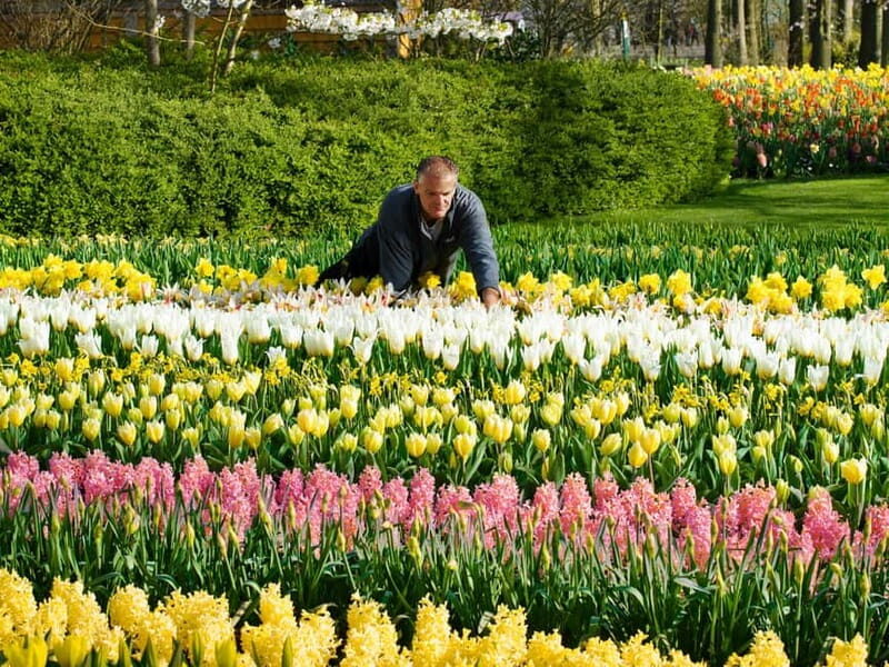 Amsterdam: Keukenhof, Tulip Farm Full-Day Tour with Cruise - Flower fields walking tour: how to get great photos without burning energy