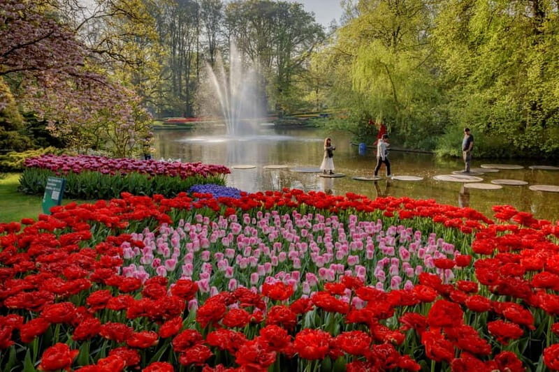 Amsterdam: Keukenhof, Tulip Farm Full-Day Tour with Cruise - Keukenhof at 13:30: your time to roam, crowd management included