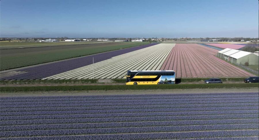 Amsterdam: Keukenhof, Tulip Farm Full-Day Tour with Cruise - Return to Amsterdam: the simple bus exit