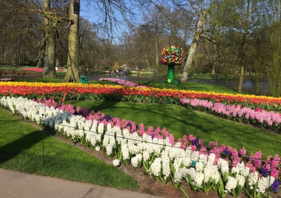 Amsterdam: Keukenhof Tulip Garden and Giethoorn Experience - A Tulip Garden Meets Giethoorn in One Day
