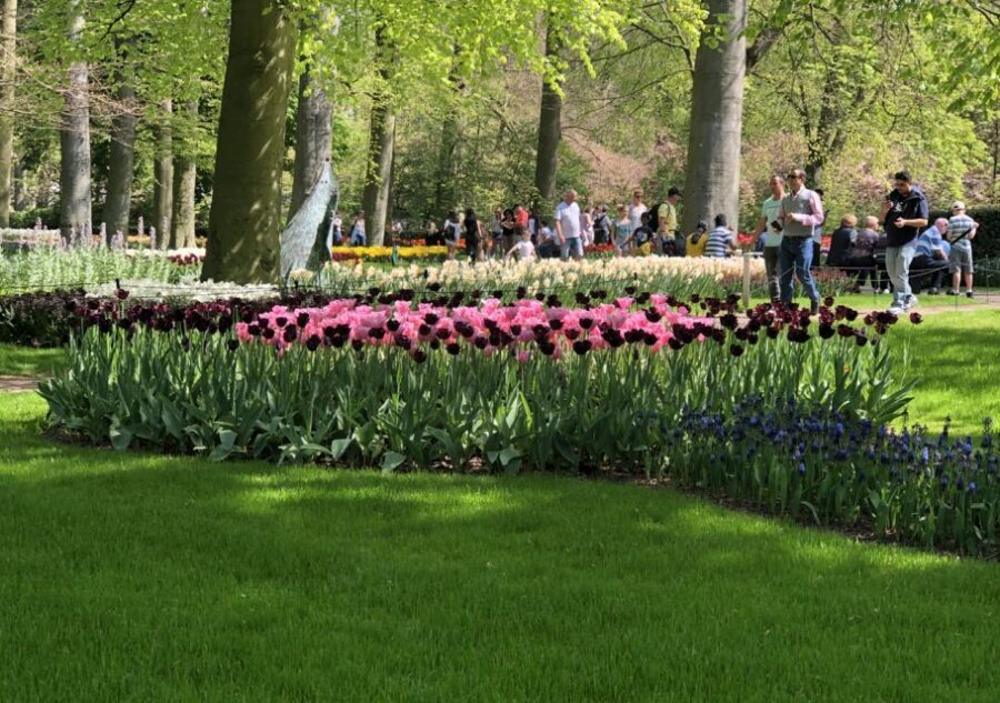 Amsterdam: Keukenhof Tulip Garden and Giethoorn Experience - Giethoorn: Car-Free Canals, a Guided Boat Ride, and Hundreds of Bridges