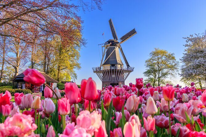 Amsterdam: Keukenhof, Zaanse Schans & Volendam Tour - Quick Take: Why This Amsterdam-to-Keukenhof Combo Works