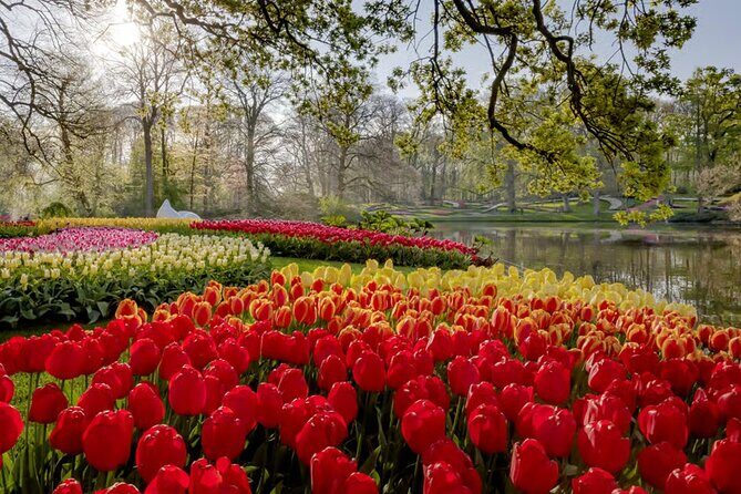 Amsterdam: Keukenhof, Zaanse Schans & Volendam Tour - Logistics and Comfort: Buses, Boarding, and Restroom Reality
