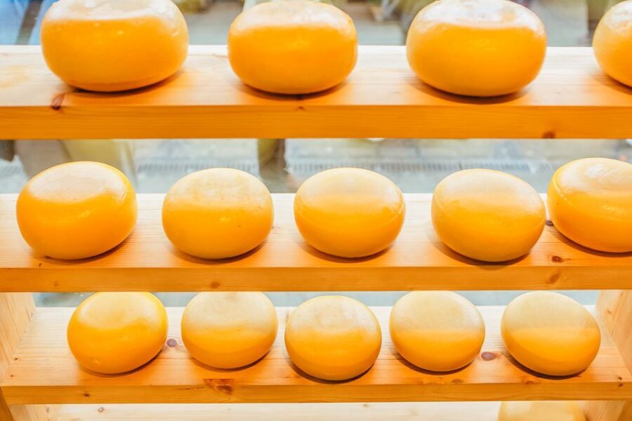 Amsterdam: Premium Henri Willig Cheese Tasting Experience - Drinks and pairing: how they guide your taste buds