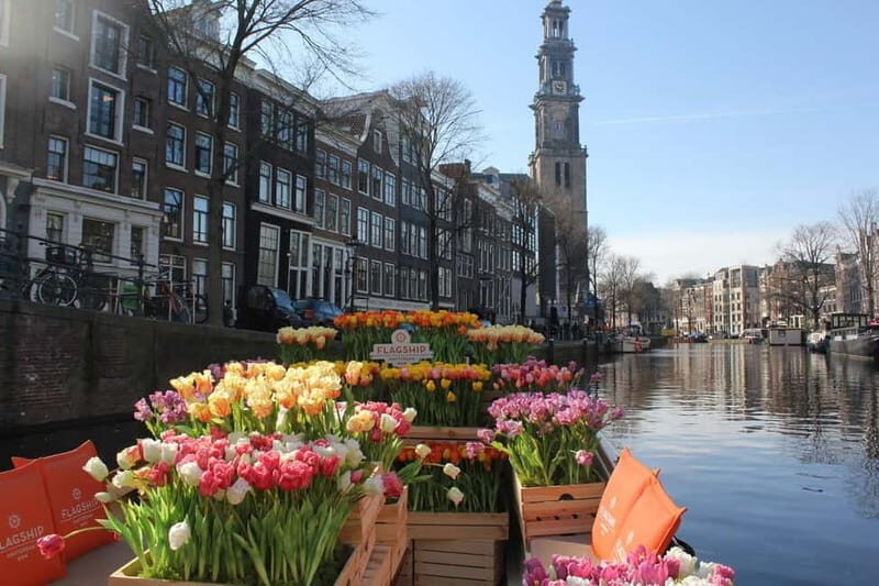 Amsterdam: Premium Tulip Boat Canal Tour - What $32 gets you: a small-group canal hour, not a big-tour production