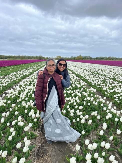Amsterdam: Private Keukenhof and Free Tulip Tour - How the van rides fit in (and why that timing matters)
