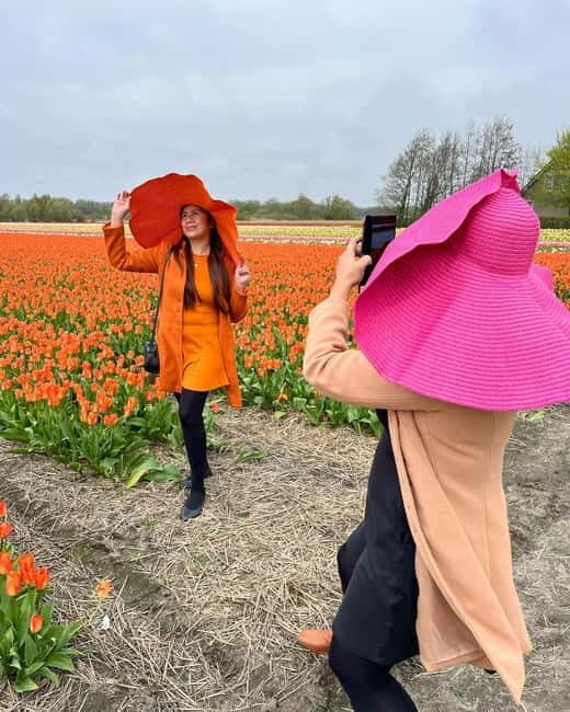 Amsterdam: Private Keukenhof and Free Tulip Tour - The Keukenhof stop: walking time, photo stops, and breathing room