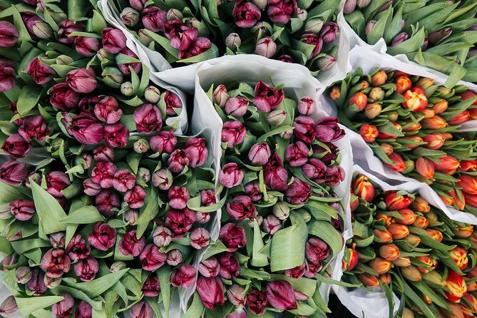 Amsterdam Private Tour: Highlights & Hidden Gems by Bike or Foot - Bike-or-foot in Amsterdam: the choice that changes the whole day